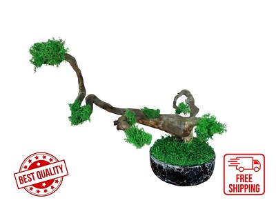 Ceramic Vase Tree Moss Art,Real Tree Branch, Handmade Home Decor, Nature Decor