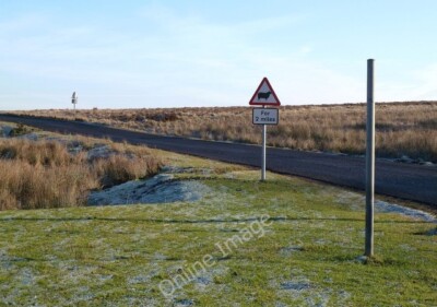 Photo 6x4 Beware of Sheep Allanshaws The start of the unfenced section of c2012