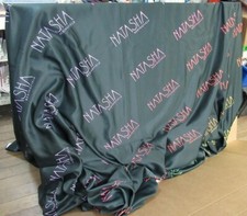 Natasha Bedingfield 8' x 10' Back Drop