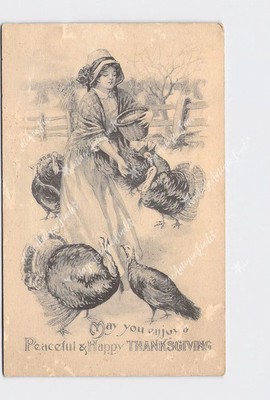 PPC Postcard Peaceful Happy Thanksgiving Young Woman Feeding Turkeys