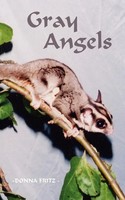 Donna Fritz | Gray Angels | Taschenbuch | Englisch (2003) | 1st Book Library