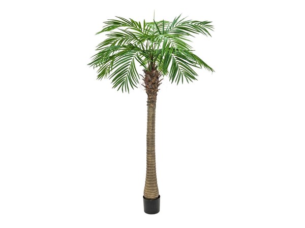Europalms PhöNixpalme Luxor, Kunstpflanze, 300Cm ( Pflanzen )-image
