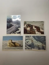 ARTIC CIRCLE ENTERPRISES INC. Vintage Lot Of 4 Unposted Post Cards 