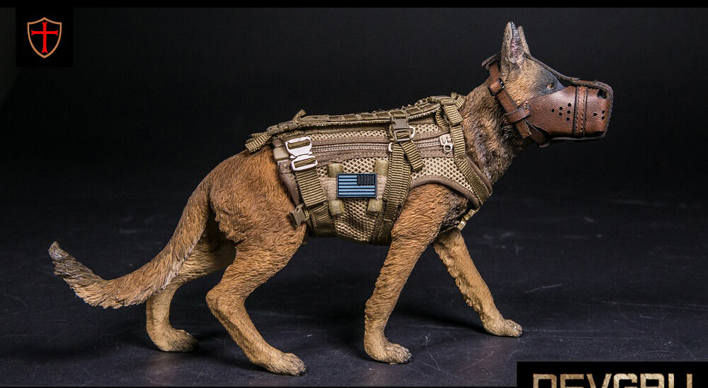 ミリタリー DEVGRU K9 HANDLER New Damtoys 78040 1/6 Devgru K9 Handler Modern Military