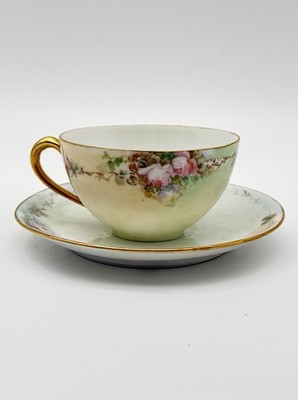 Vintage Cup & Saucer Germany Delicate Pastel Hand Painted Roses Floral Porcelain