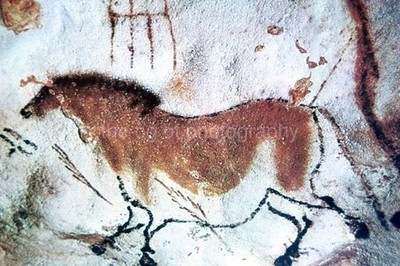 Found 35 mm SLIDE Photo PREHISTORIC CAVE ART Original LASCAUX FRANCE 64 LA 87 C