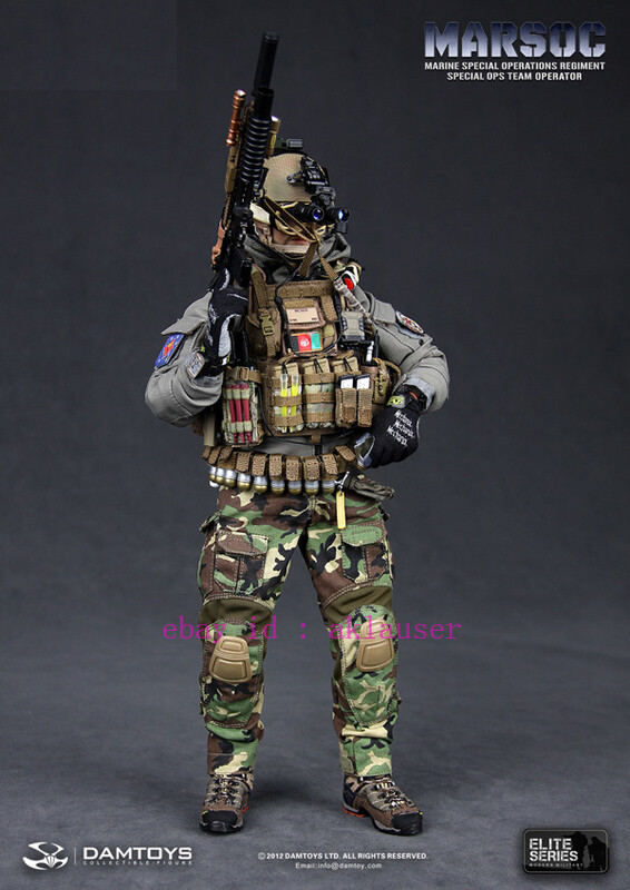 Damtoys Dam78007 1/6 Marsoc Marine Special Operations Regiment