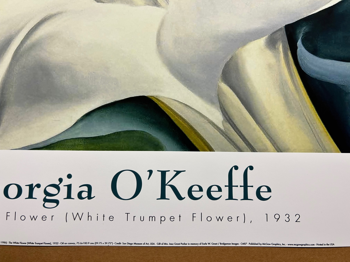 The White Flower (White Trumpet Flower) 1932 Georgia O'Keeffe