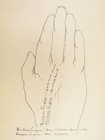 Foto 21 di 24