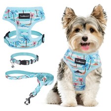 Small Dog Harness and Leash Collar Set - No Pull Dog Harness for Small  Medi...
