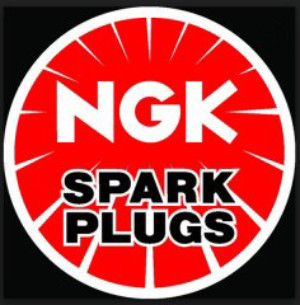 NGK Spark Plug Wire Set 8005