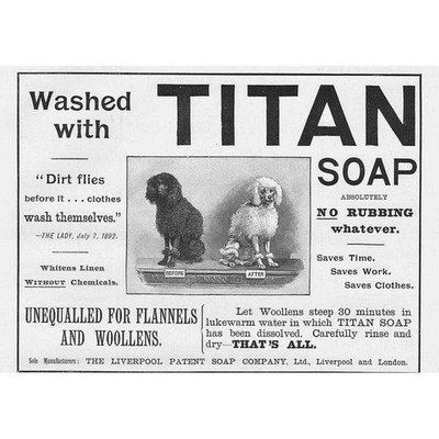 TITANSEIFE Pudel vor und nach dem Waschen viktorianische Werbung 1893