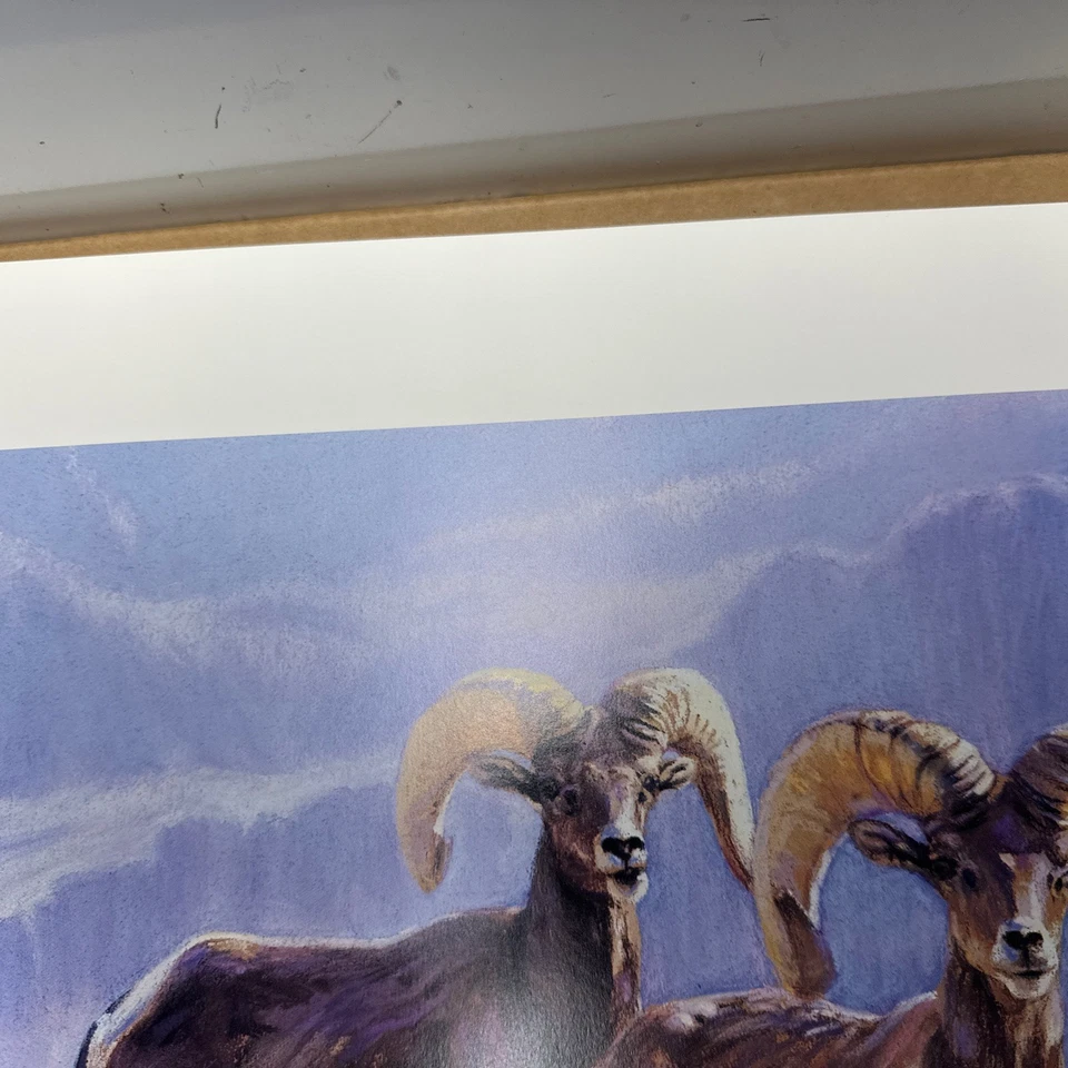 Ruger North Americans - S/N - “Desert Rangers” - Paul Bosman - 215/950 Foto 3 de 4