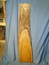 red elm live edge slab lumber crafts  wood table top L 50" W 12" T 1 1/8"