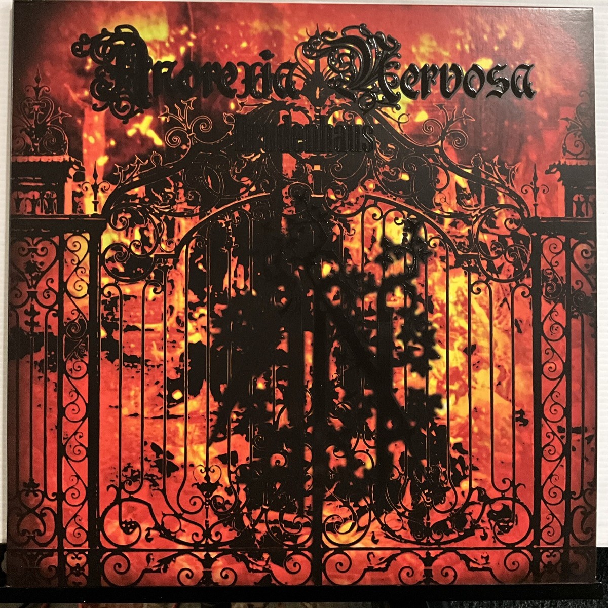 Anorexia Nervosa 国内盤CDボートラX Japanカバー収録希少 Anorexia Nervosa - Drudenhaus LP 2023 Osmose Productions – OPLP094