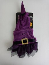 Thrills  Chills Collection Halloween Witch Reptile Costume For Bearded Dragons