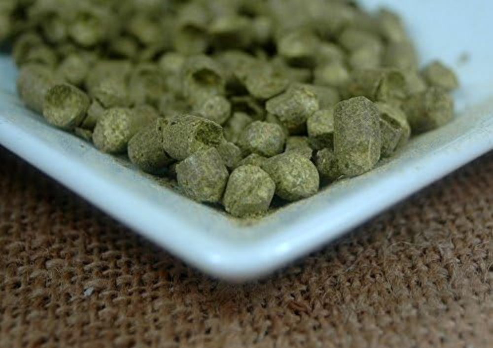 pellet di luppolo P90 Hallertauer mittelfrÄ‚Ä½h 100 g