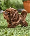 Westminster Paw Pals Pete the Pedigree Dog Brown Realistic Plush Ages 5+ TESTED — photo 4