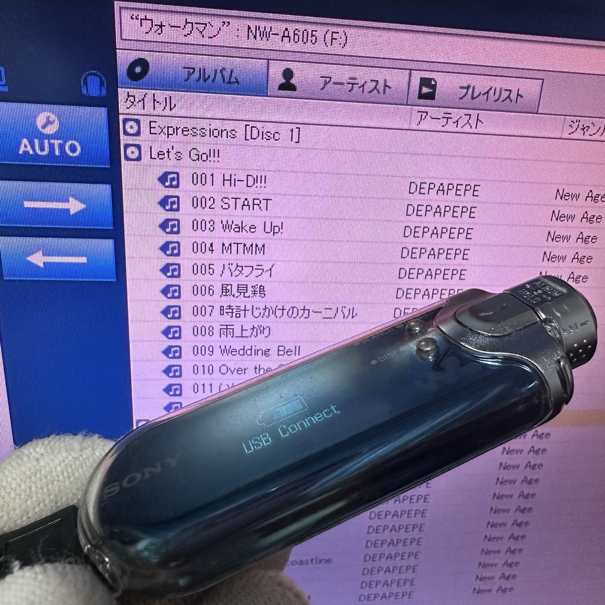 Sony NW-A605 Net Work Walkman Portable Audio Player 512MB