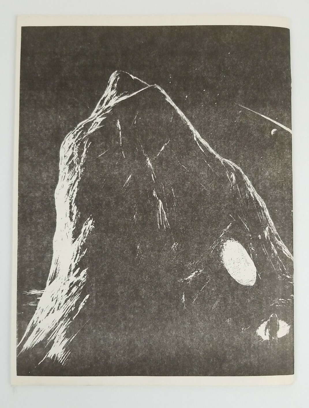 Picture 8 of 8