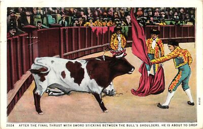 Vintage Postcard- AFTER THE FINAL THRUST WITH SWORD STICKING BETWEEN THE BULL'S