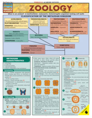 Zoology (Quickstudy: Academic) - Pamphlet By BarCharts, Inc. - GOOD