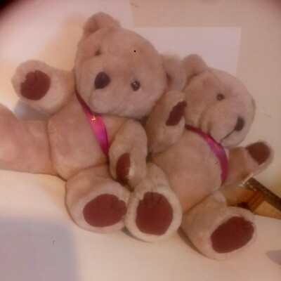 Cadbury Teddybären mit Schokoladengelenken und lila Schärpe / zwei identisch für Zwillinge