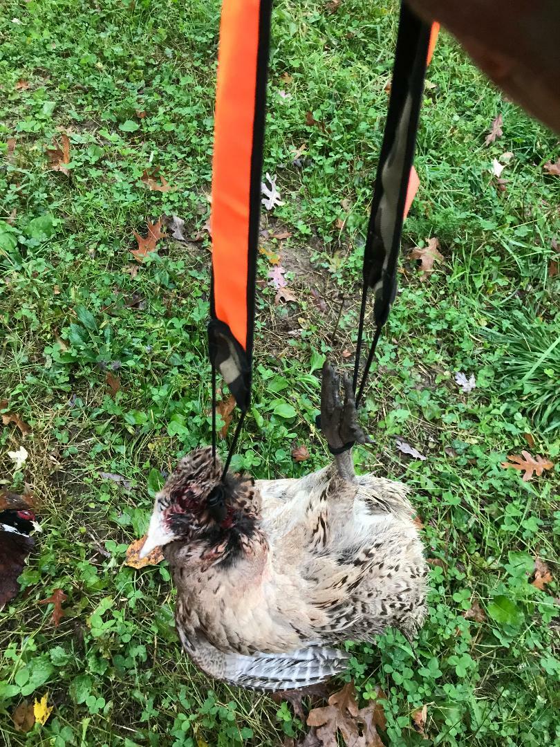 Turkey Tote / Turkey Carry Strap / Camo Orange Reversible eBay