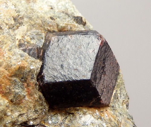 GARNET var. ALAMANDINE big crystals NORWAY Nordland - Buvika - Buviknakken pj765 - Picture 6 of 15