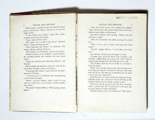 1st Edition Hester & Timothy Pioneers 1937 Ruth Holberg Hardback - Imagen 4 de 9