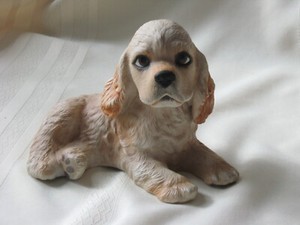 buff cocker spaniel puppy