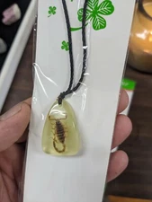 Real Scorpion In Resin Necklace Pendant Bug Insect Cool Kids Gift