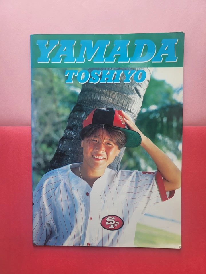 Libro de colección de fotos Manami Toyota y Toshiyo Yamada para mujer lucha libre profesional AJW Foto 2 de 4