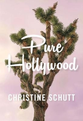 Pure Hollywood: Und andere Geschichten von Christine Schutt [Taschenbuch]