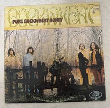 BUCKWHEAT - Pure Buckwheat Honey 1969 Texas BEATLES-ESQUE pop psych LP NM / VG