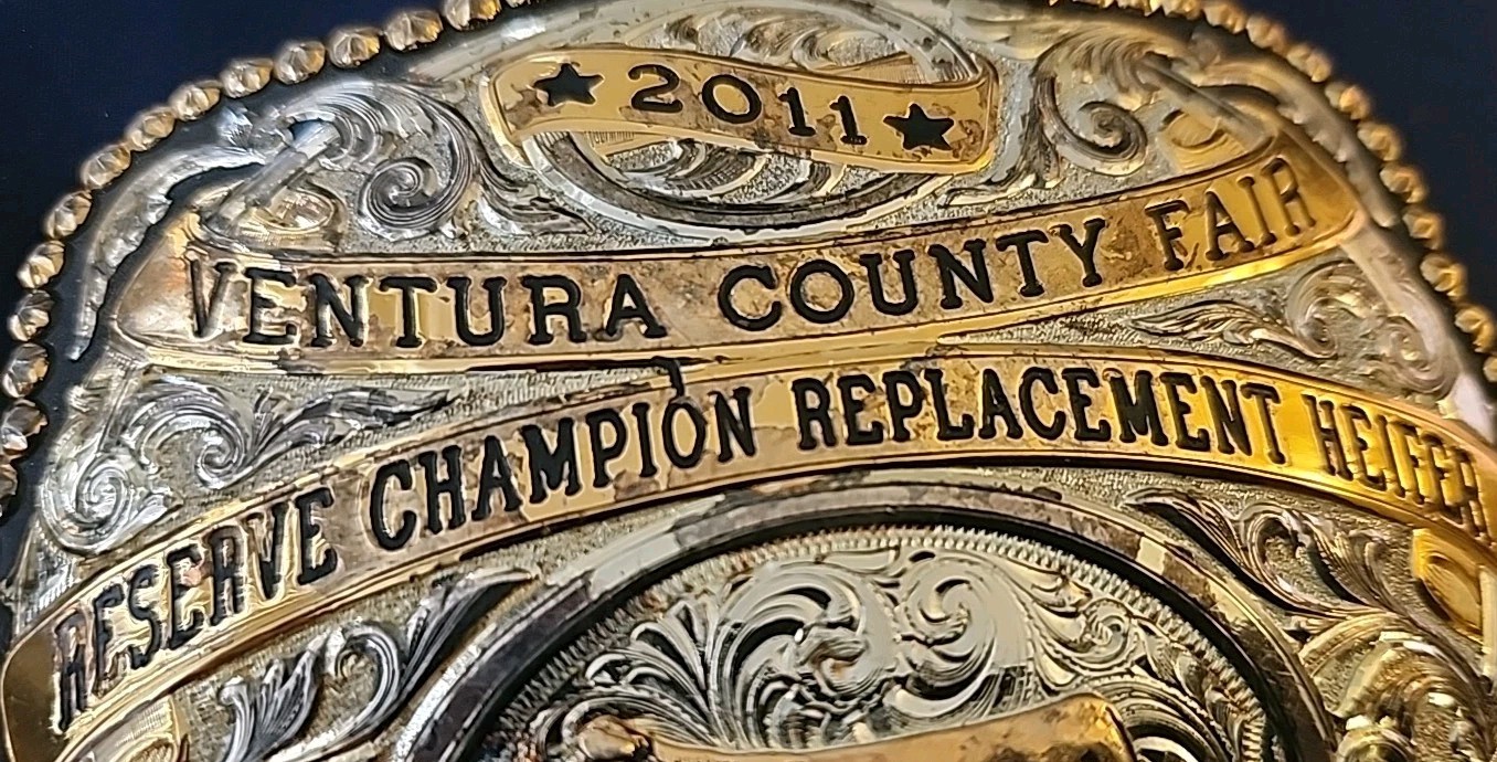 Gist Silversmith Ventura  Coutry Fair belt  Buckle 2011 Free Shipping USA OBO