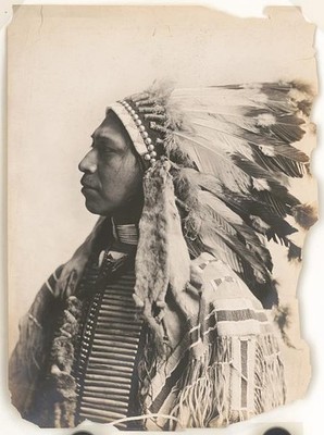 Photo:Klickitat Indian Brave Portrait Feather Headdress 1903