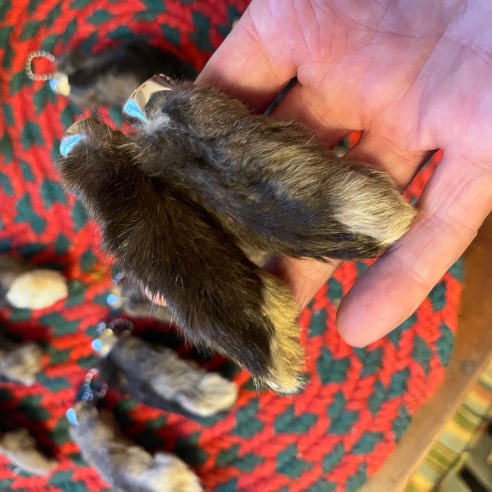 GENUINE RABBITS FOOT 12 DARK REAL RABBIT FEET A DOZEN NATURAL KEYCHAINS ...