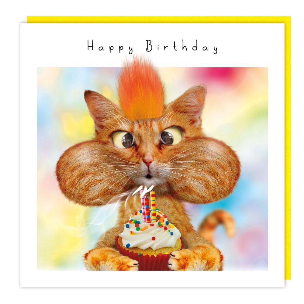 Funny Cupcake Cat Happy Birthday Card – Googly Eyes and Fluff Greeting Card
