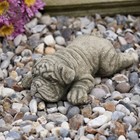 Laying Shar Pei Stone Statue | Bulldog Dog Puppy Animal Outdoor Garden Ornament