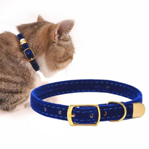 ebay kitten collars
