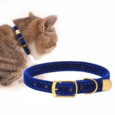 cool kitten collars