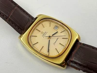 OMEGA Seamaster Automatic Date 1974 198.0068 - Serviced Vintage TV Case