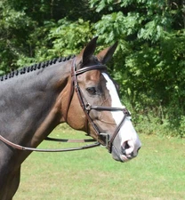 Red Barn KL Select Equinox Noseband
