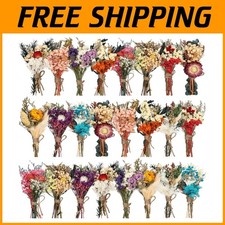Handmade Dried Flower Decor Bundle - 24 Pcs