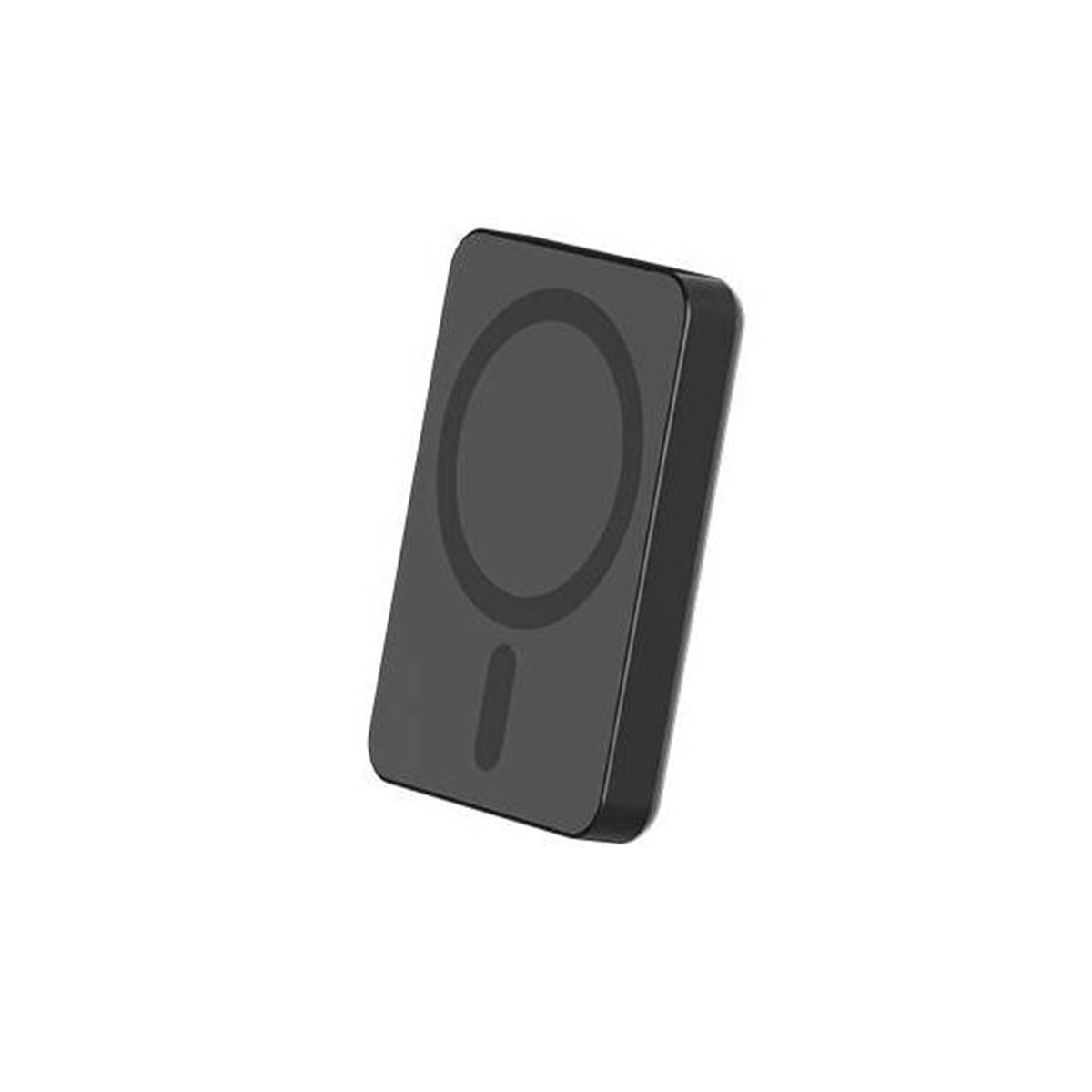 Force Power accu externe USB-C 15W mini bloc d'alimentation 5000mAh