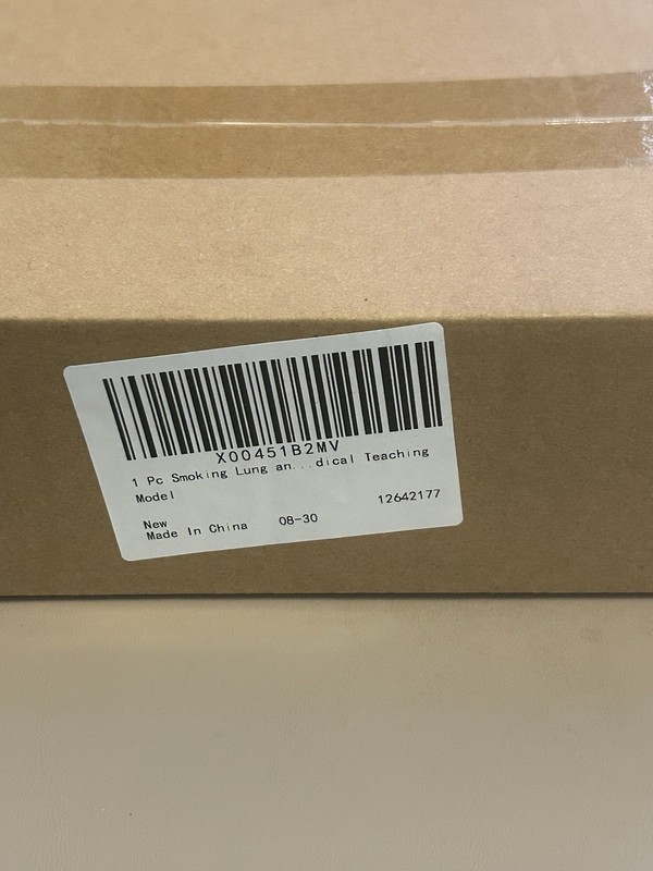1 Piece Smoking Lung Medical Teaching Model, New In Box