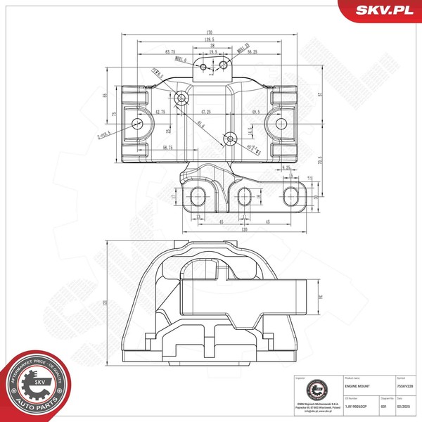 Esen SKV Lagerung, Motor 75SKV228 FüR Audi Seat Skoda VW-image