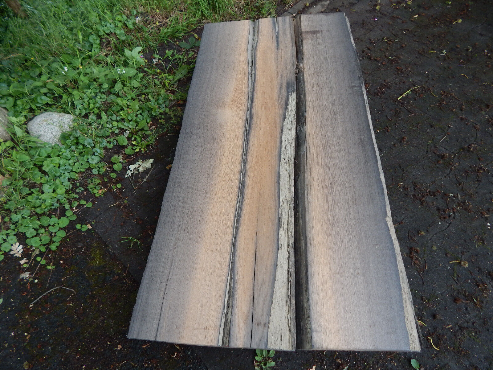 Bild 3 von 16