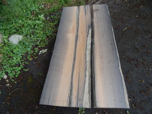 Y5 Mooreiche 155x84 Tisch Platte Rustikal Bohle Brett Bog Oak Baumkante UNIKAT - Bild 3 von 16